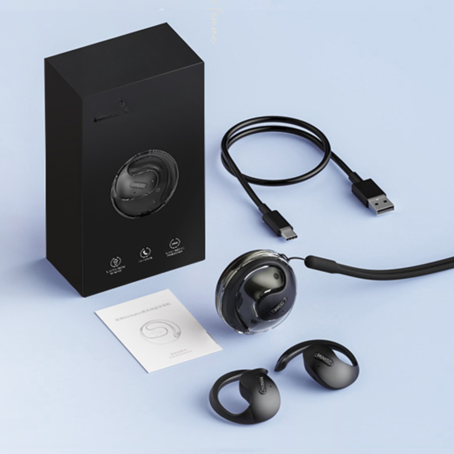 WeSpeak Earbuds Translator